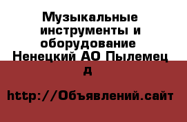  Музыкальные инструменты и оборудование. Ненецкий АО,Пылемец д.